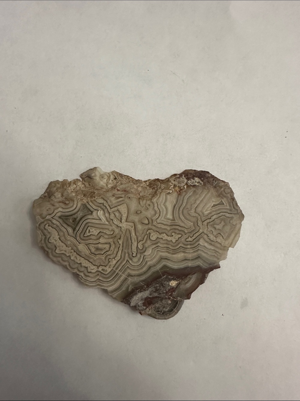 Natural Gray Agate Slice Decorative Wall Art